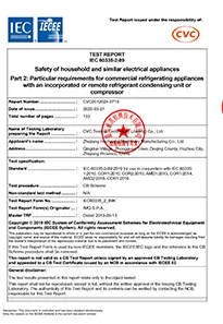 pdf-icon